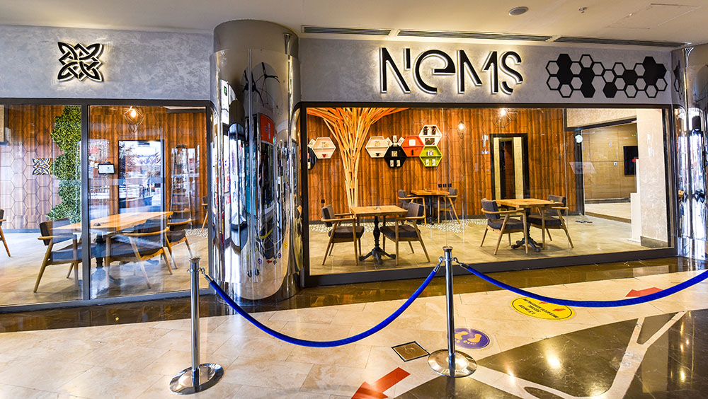 nems